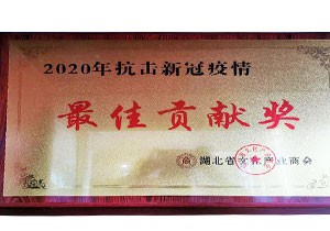 2020年湖北省文化產業商會 2020抗擊新冠疫情最具貢獻獎